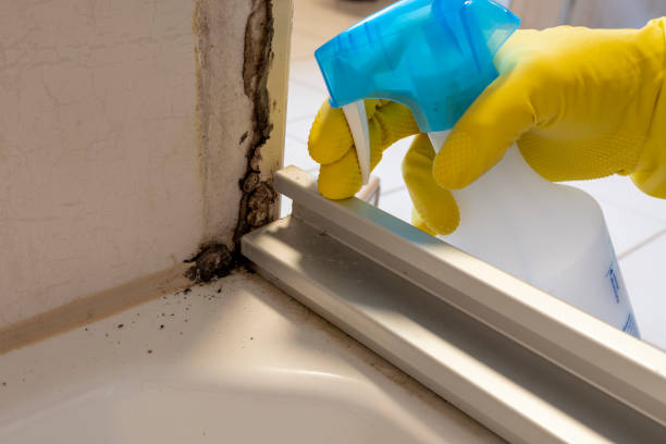 Crawl Space Mold Removal in Rosedale, LA