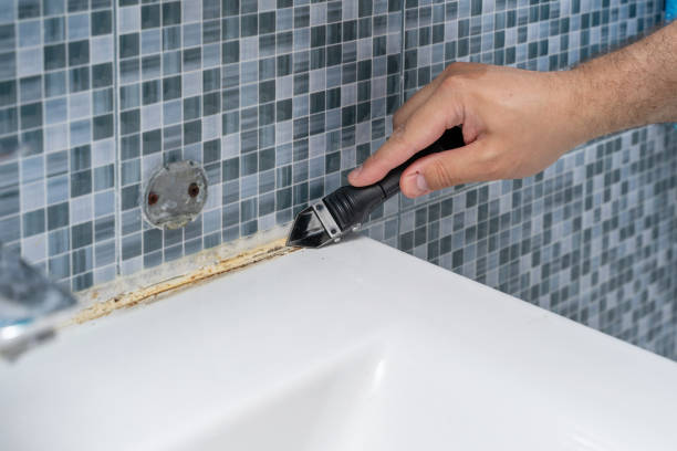 Best Toxic Mold Removal  in Rosedale, LA